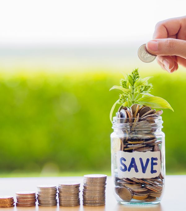 abstract money saving small baby tree with glass jar Coins with stack coins on table with green tree background